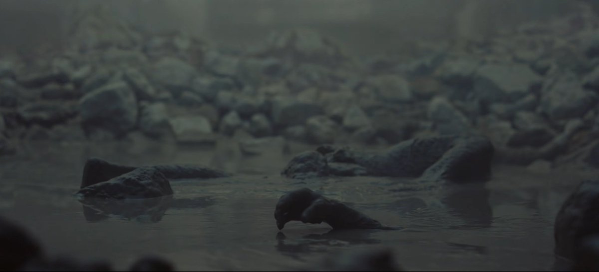 Alberto González ⸆⸉ ᚠ tweet media