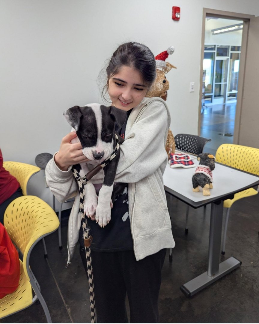 Memphis Humane Society tweet media