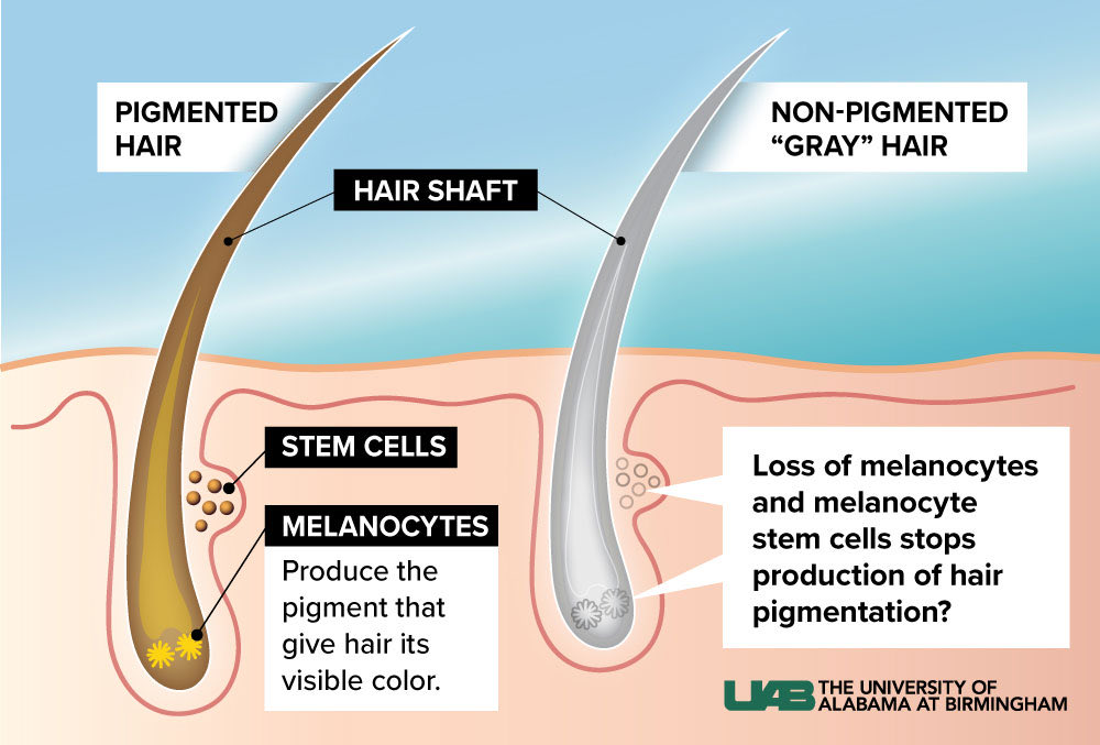 Rock Mada tweet media