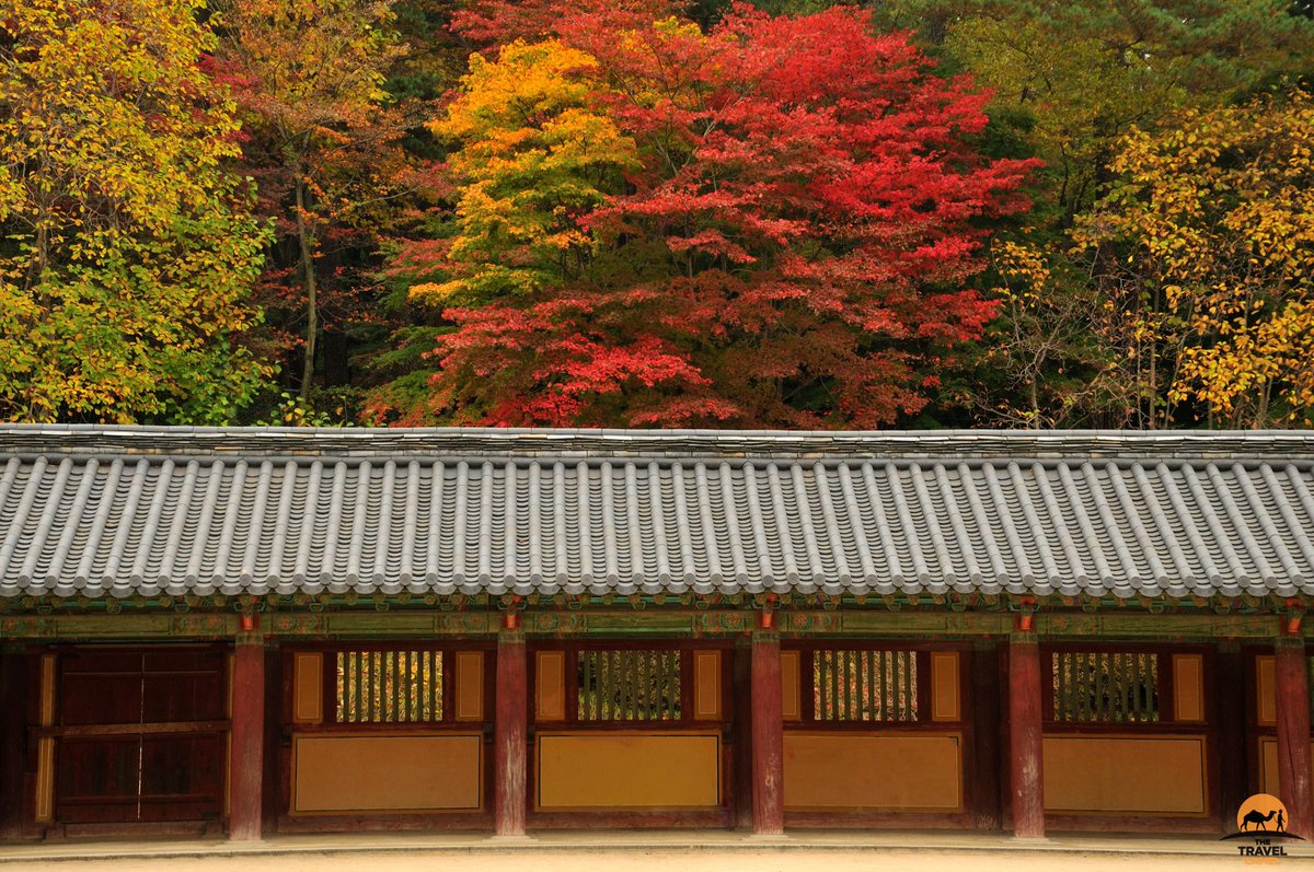 Shane Dallas tweet media