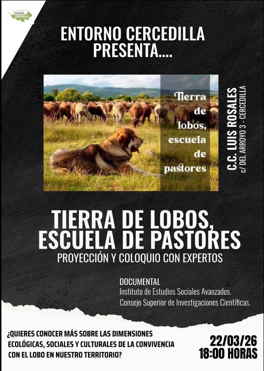 DIRUS Sociedad Científica tweet media