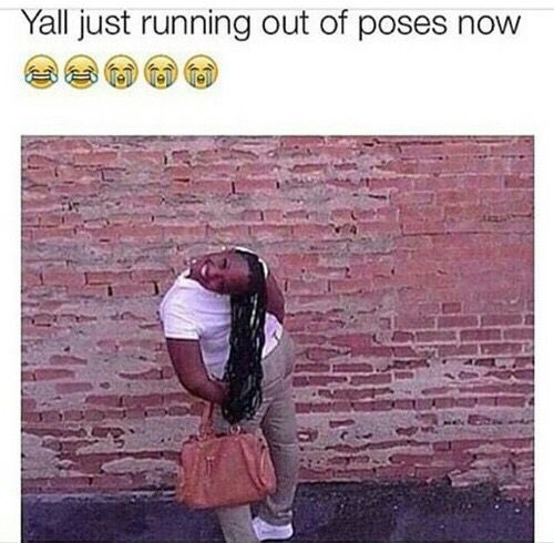 boredipole tweet media