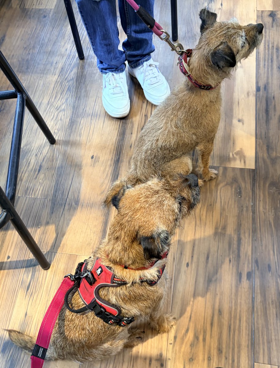 LittleGuyTed tweet media