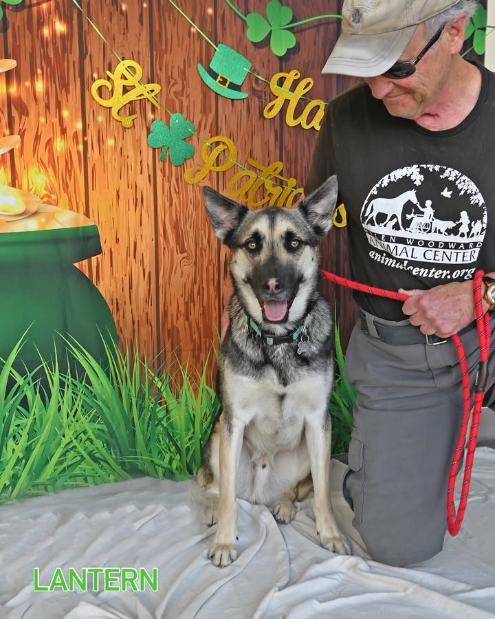 Helen Woodward Animal Center tweet media