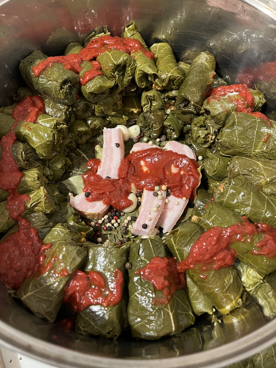 Sofia Covaci tweet media