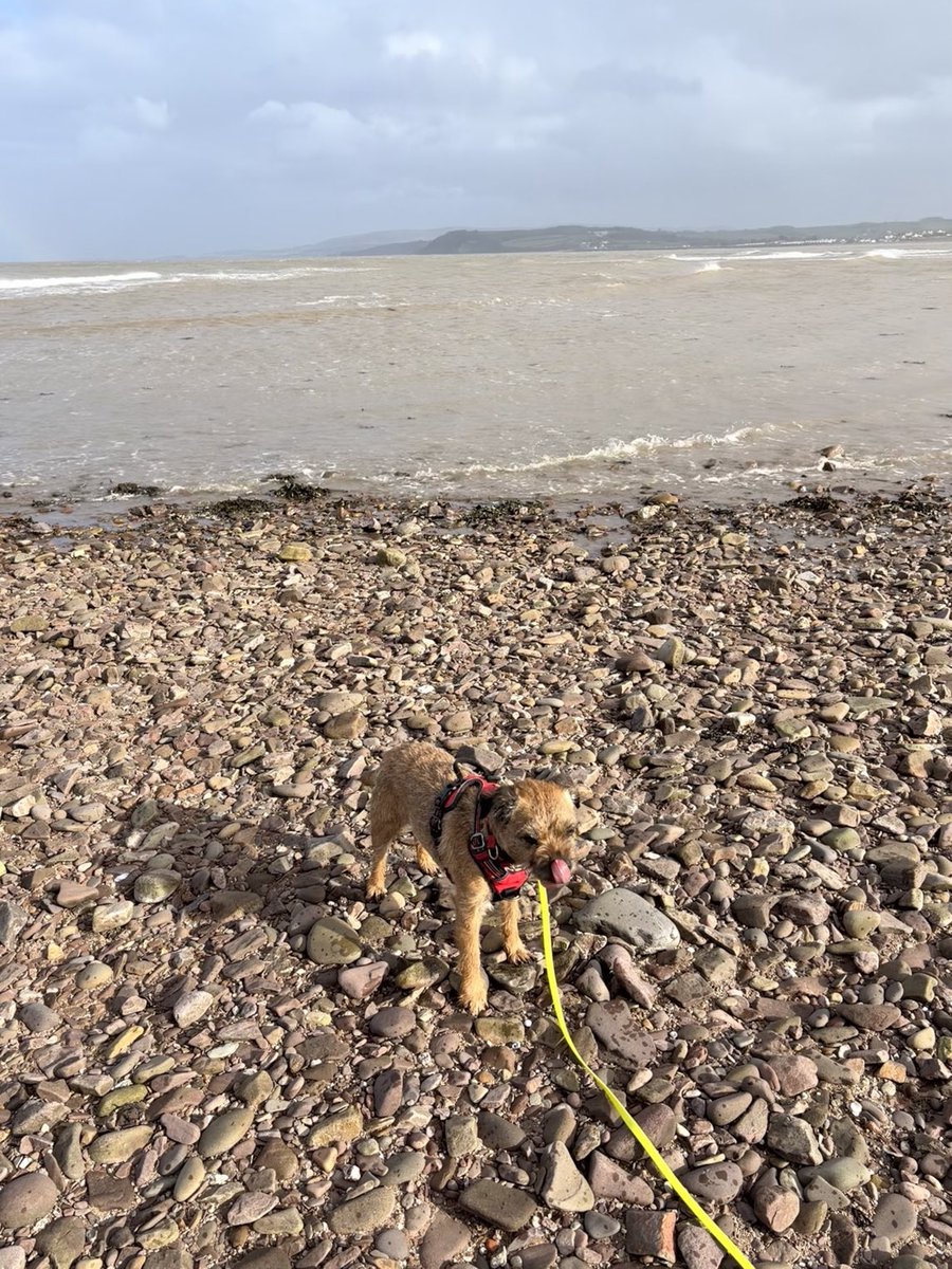 LittleGuyTed tweet media