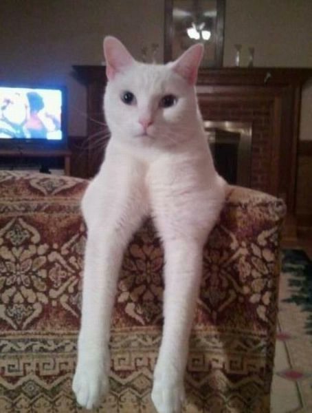 Derek Paterson tweet media