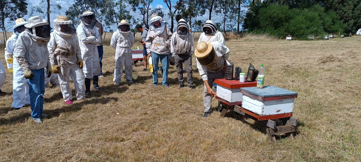 INTAProapi tweet media