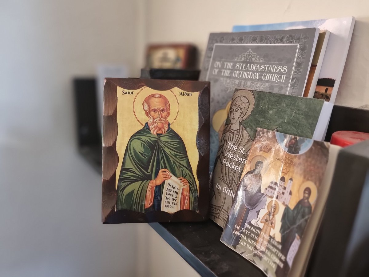 Young Bob tweet media