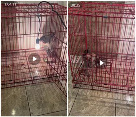 i Report Racism & Child Crimes tweet media