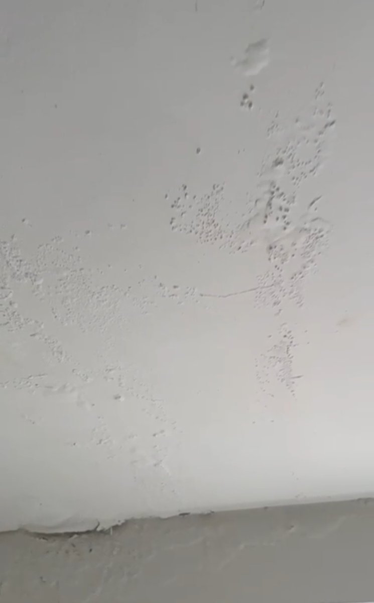 O da Rial tweet media