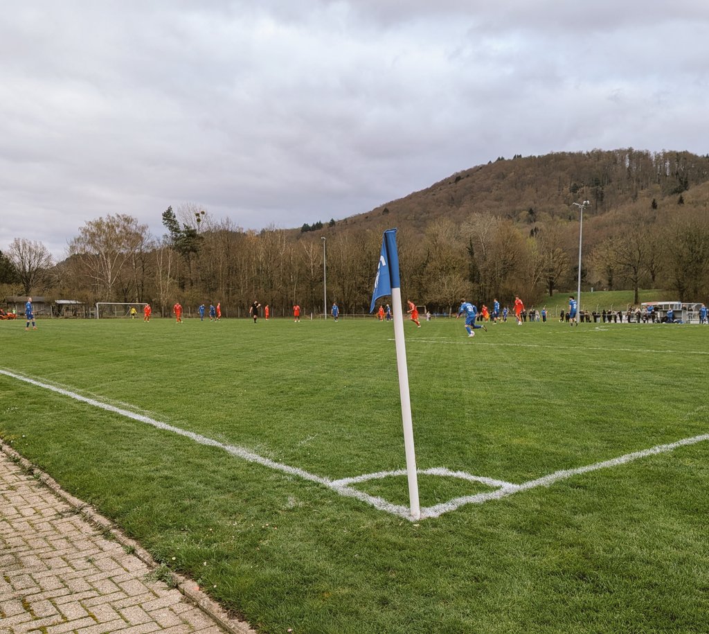 Michael Domann ⚽ (Erstligist) tweet media