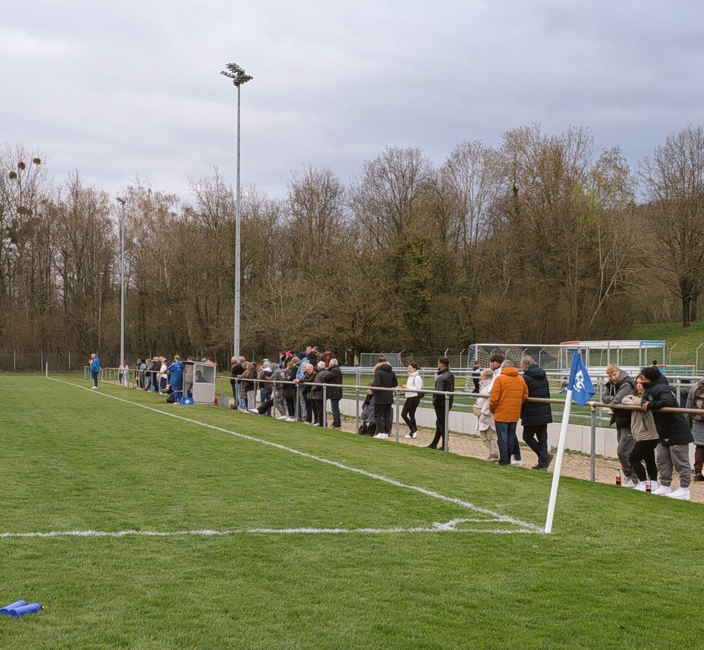 Michael Domann ⚽ (Erstligist) tweet media