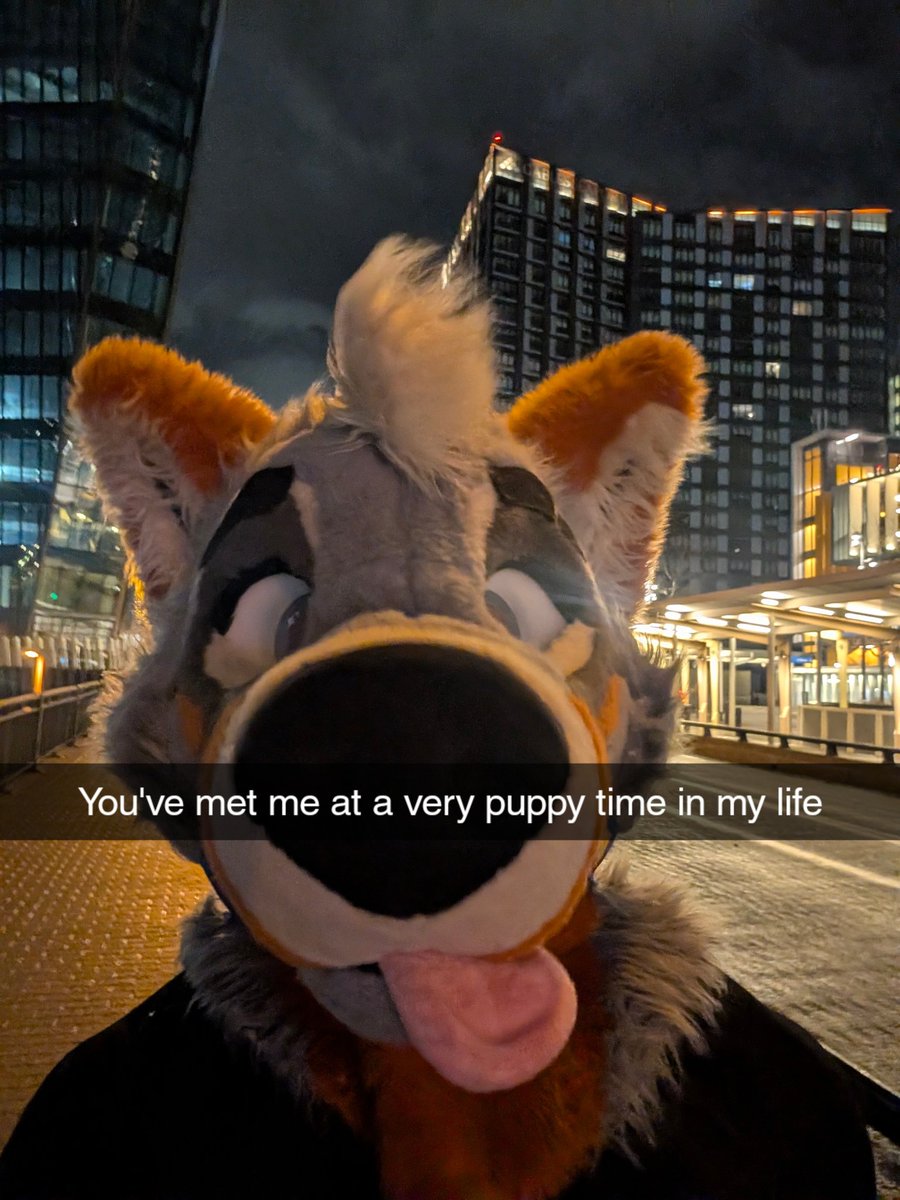 Lucky 🐾 tweet media