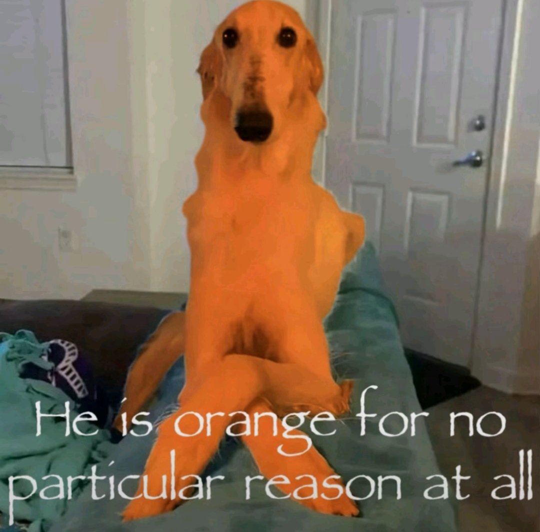 Timely Rune 🦌💚 tweet media