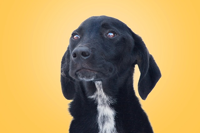 Steve Baete tweet media