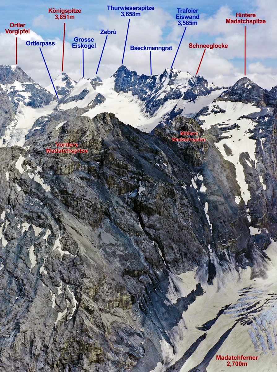 Tom Isitt 🐝 tweet media