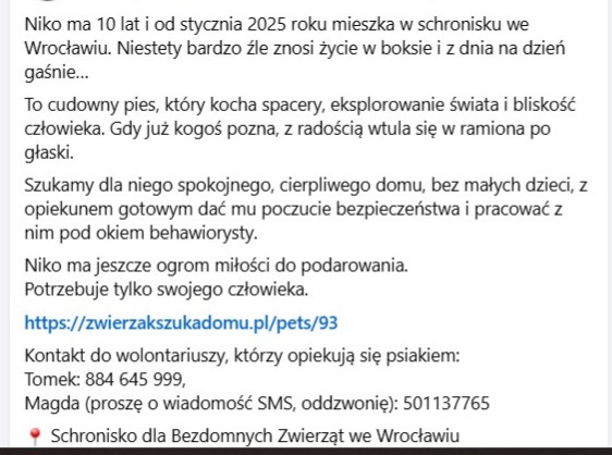 RobwalkaW's tweet photo. 10 letni Niko bardzo źle znosi pobyt w schronisku
z dnia na dzień robi się coraz cichszy,wycofany ...
czy ktoś go uratuje i zabierze do domu
Przebywa w schronisku we Wrocławiu https://t.co/QwuOCLkShr
