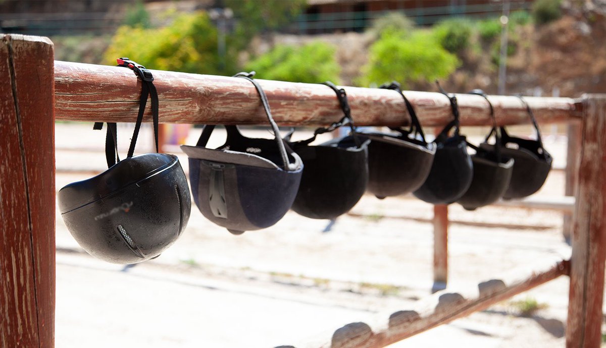 ICD - Instituto Ceutí de Deportes tweet media