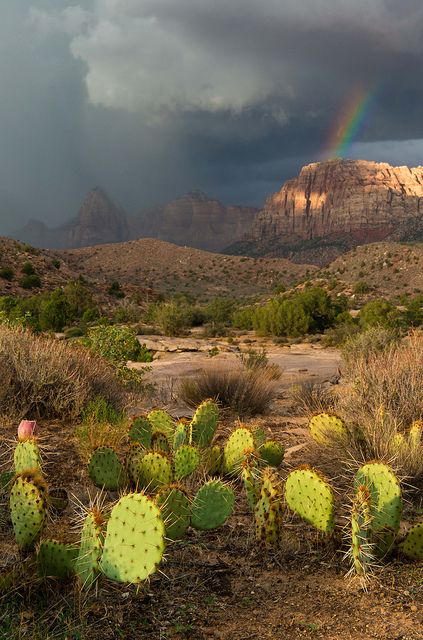 National parks are a pot of gold.
