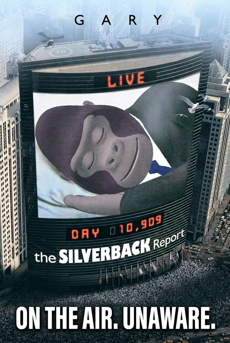 The Silverback Report tweet media
