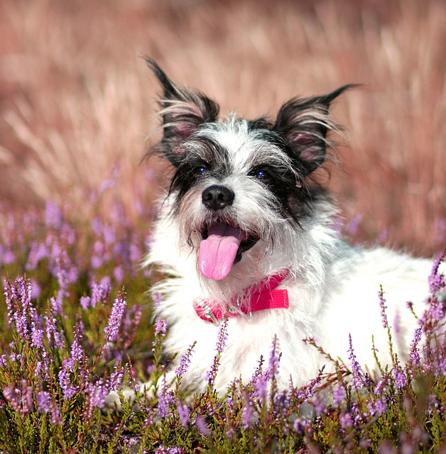 Marquise Obong tweet media