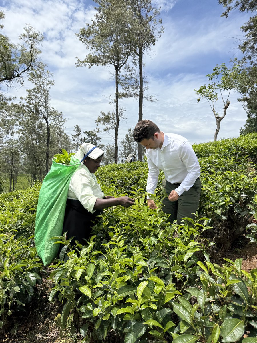 MTPak Coffee tweet media