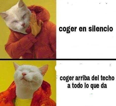 Típico De gatos.🙄