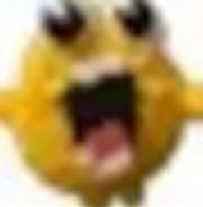 CORSO 🐊 tweet media