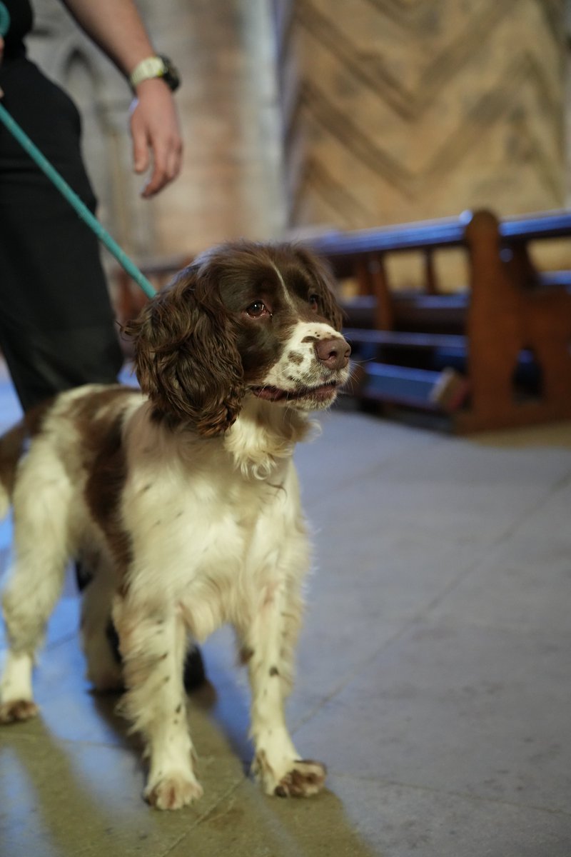 Durham Cathedral tweet media