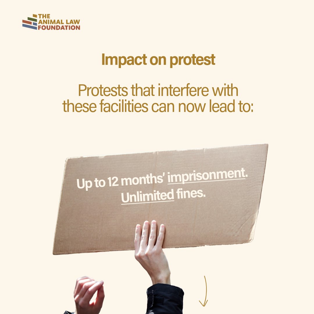 The Animal Law Foundation tweet media