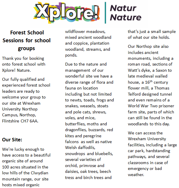 Ysgol Sychdyn tweet media