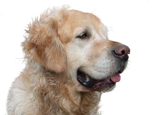 Draek Lukeson tweet media