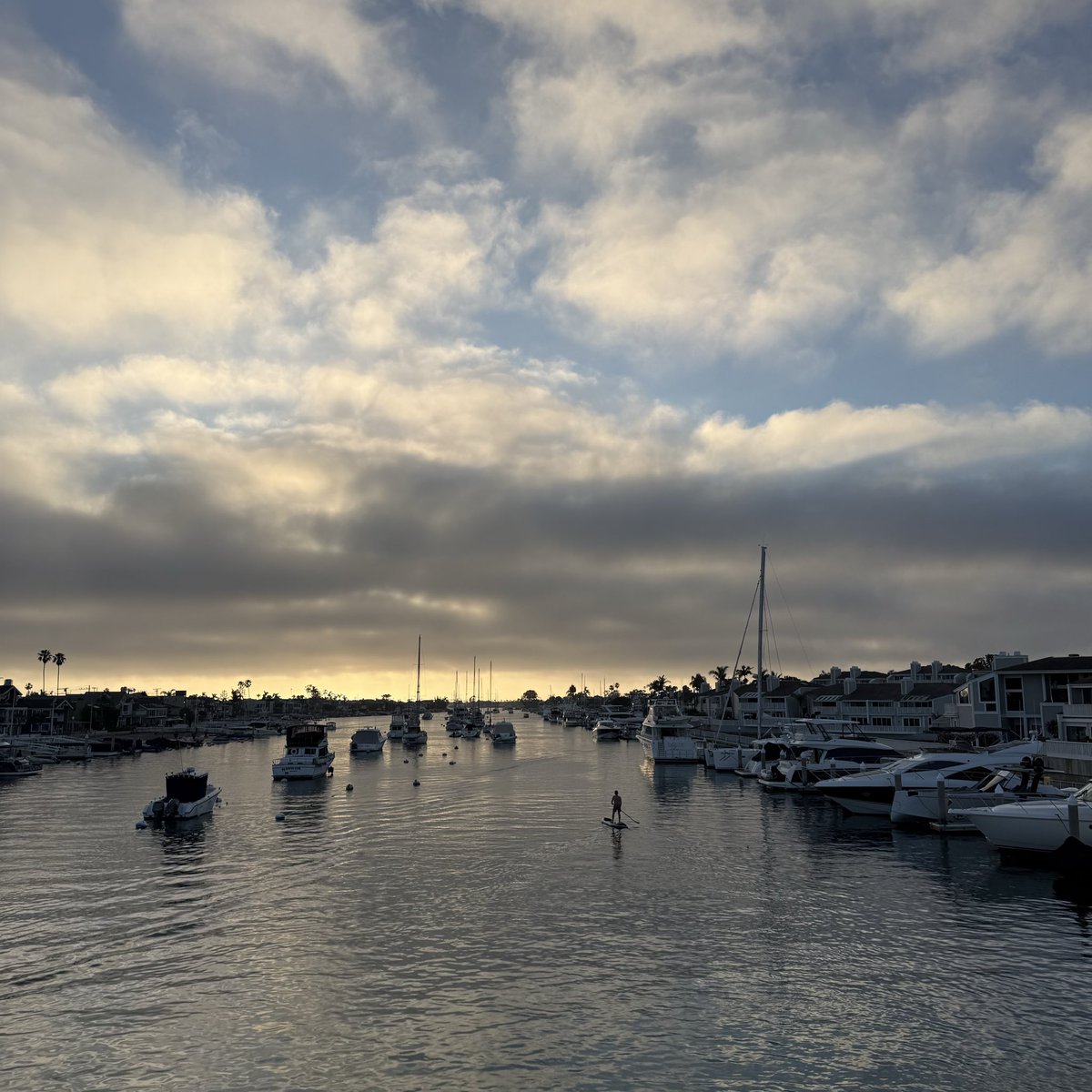 Adam Mayer tweet media