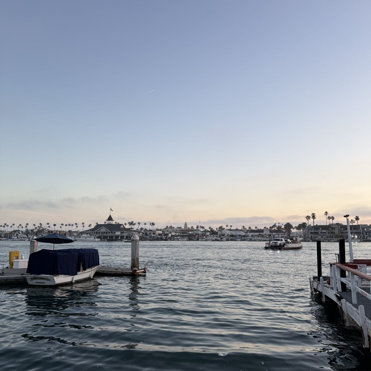 Adam Mayer tweet media