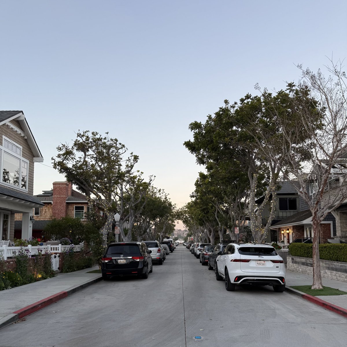 Adam Mayer tweet media