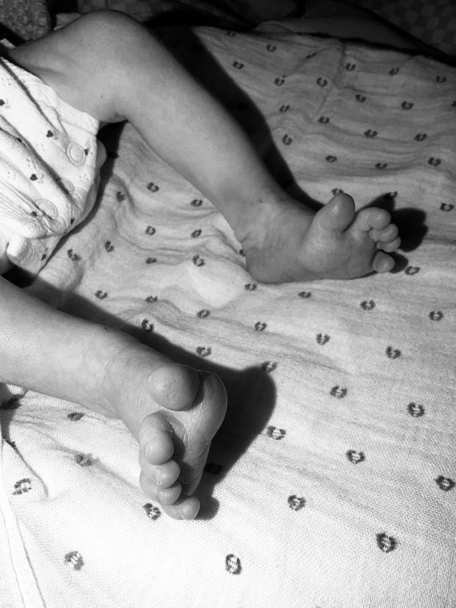 Populicc tweet media