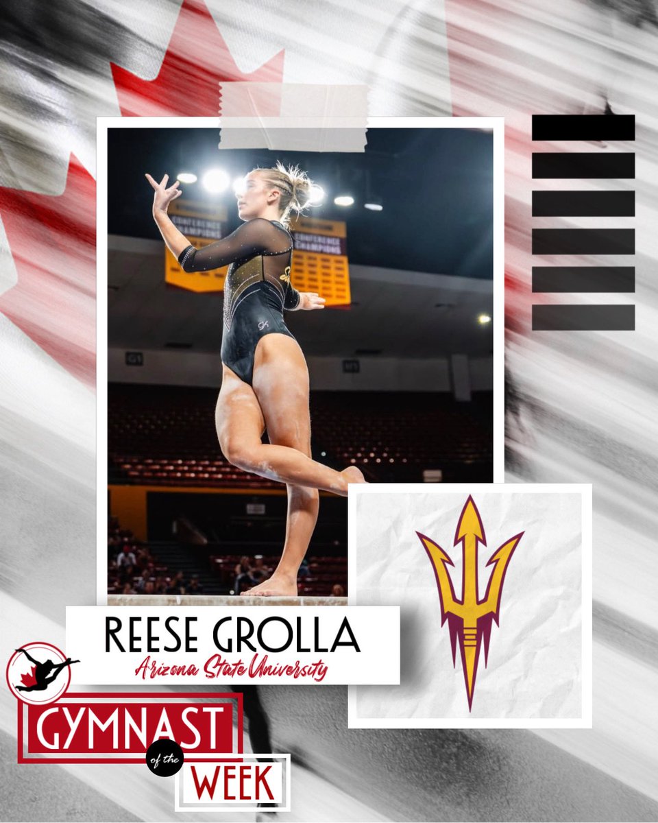 Canadian College Gym tweet media