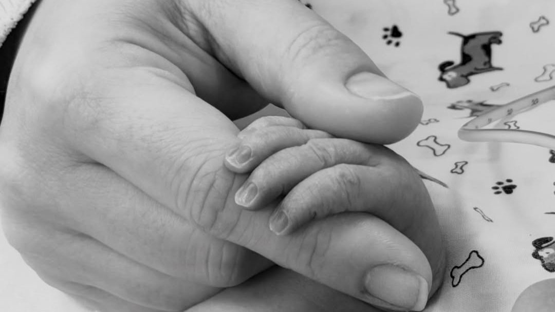 Populicc tweet media