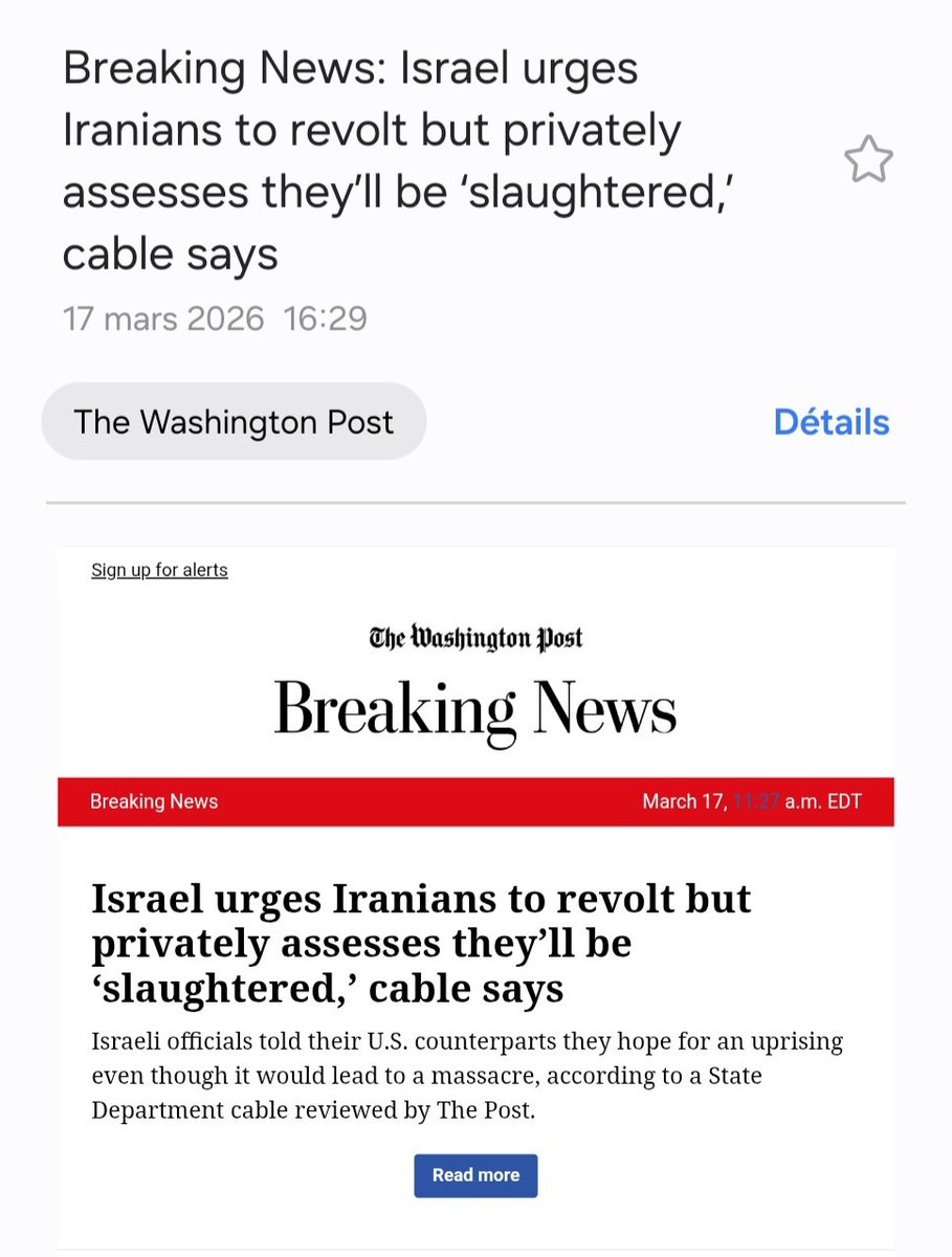 selimoviclover tweet media