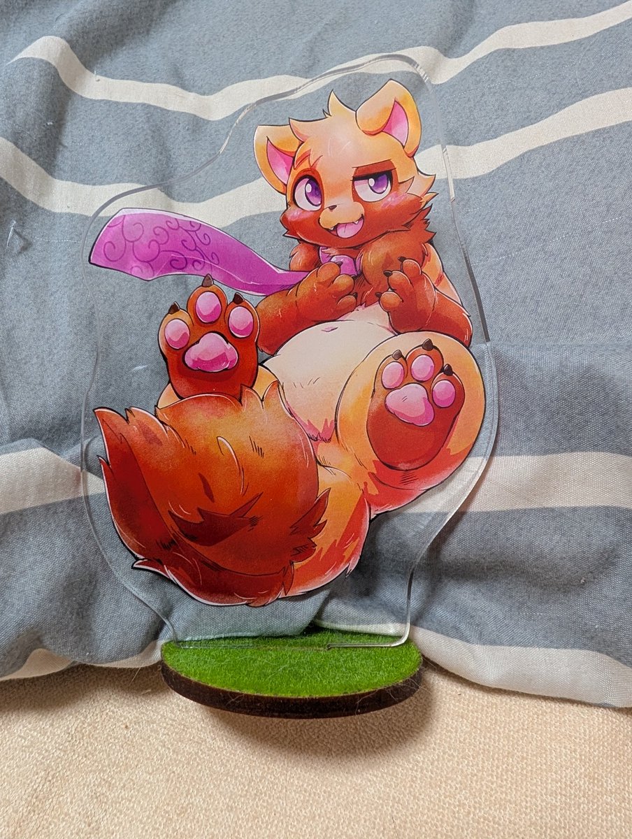 ウィルたぬきの日常@Vtuber tweet media