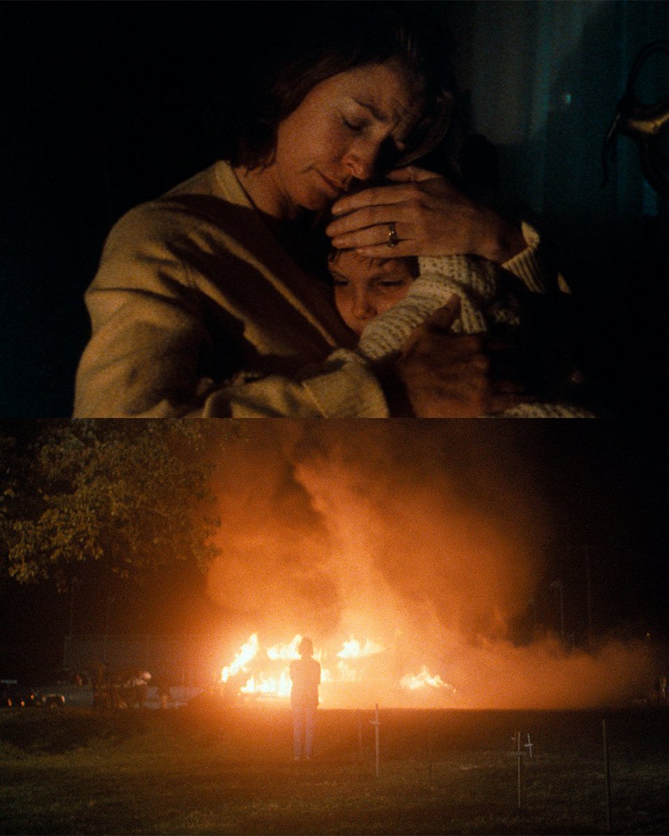 Criterion Collection tweet media