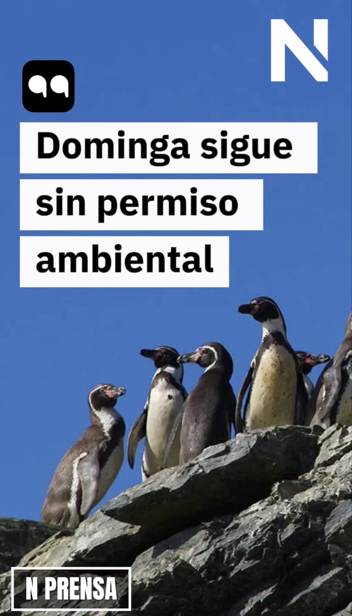 N Prensa tweet media