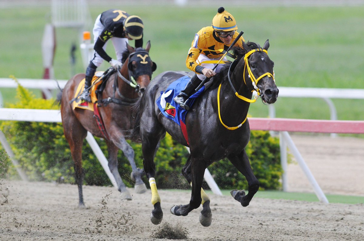 Noel Kucich P tweet media