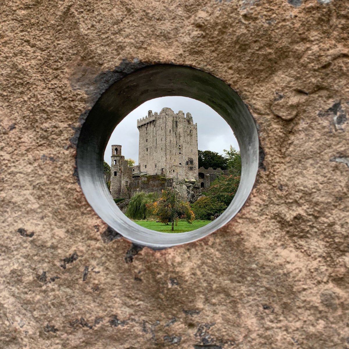 luchini🍓🪲 tweet media