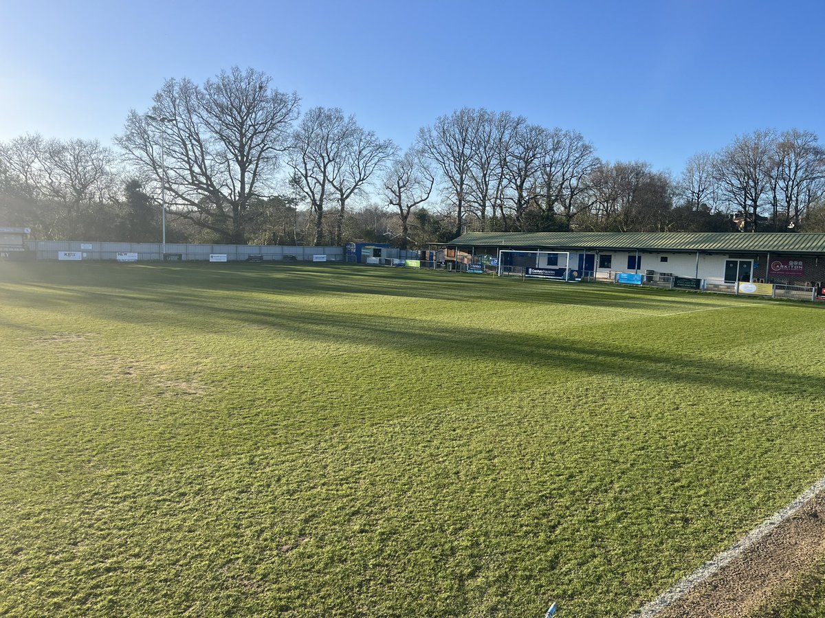 nick collick tweet media