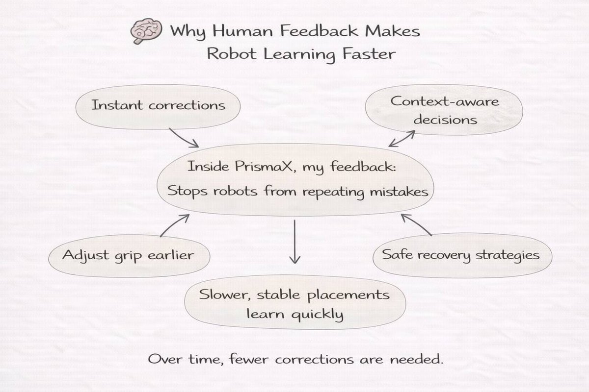 Ansh 🪁 tweet media