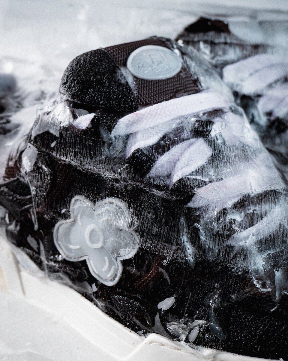 FLOWER INSTINCTS tweet media