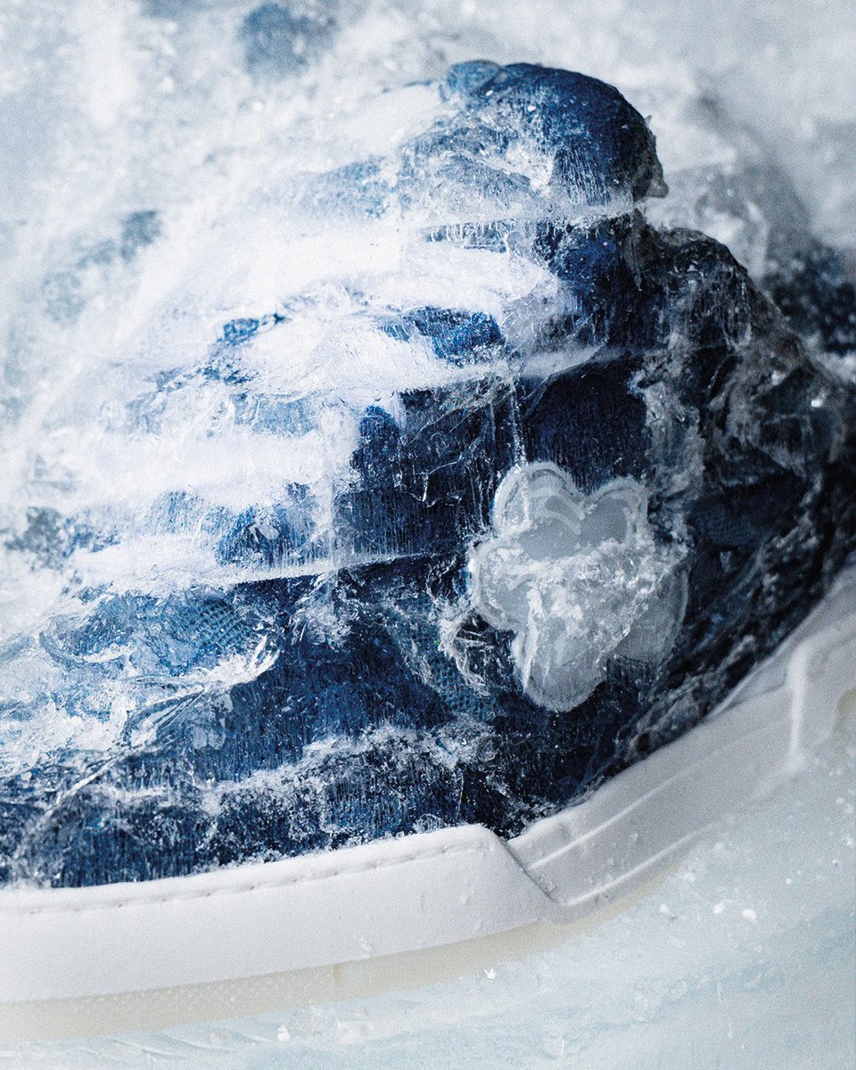 FLOWER INSTINCTS tweet media