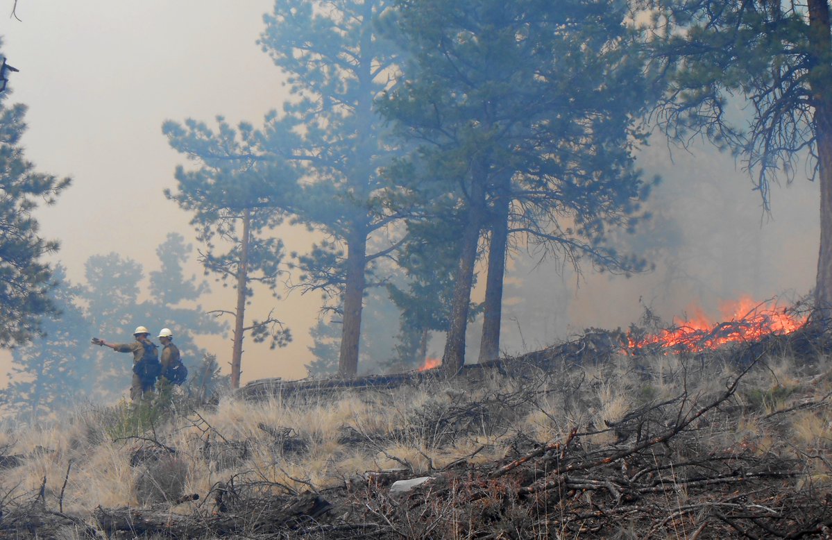 BLM Colorado Fire tweet media